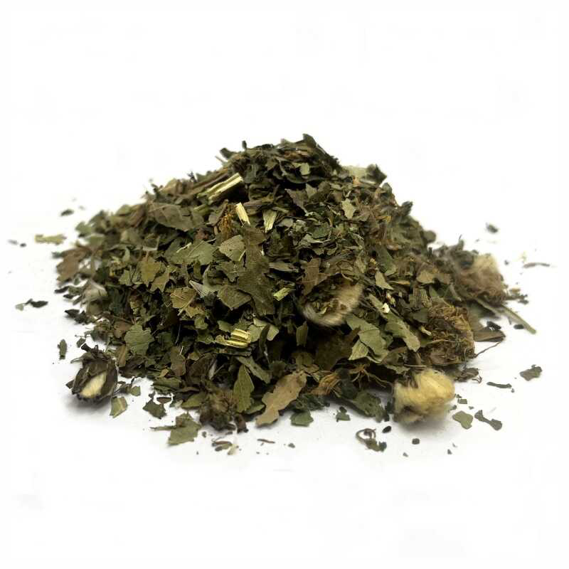 BS na detoxikaci organismu